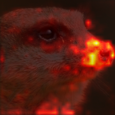 384_3_attn.png