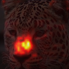 384_4_attn.png