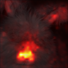 384_6_attn.png