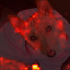 393_0_attn.png