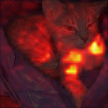 393_4_attn.png