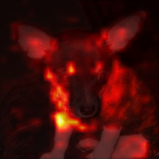 3_5_attn.png