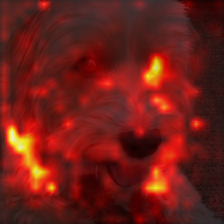 3_9_attn.png