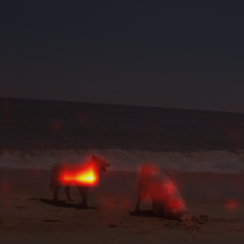 407_6_attn.png