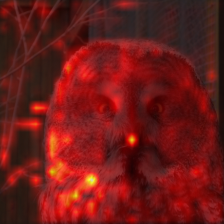 438_2_attn.png