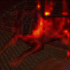 438_4_attn.png