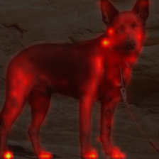 440_0_attn.png
