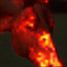 440_1_attn.png