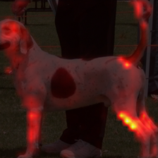 440_3_attn.png