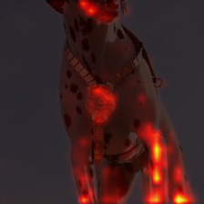 440_4_attn.png