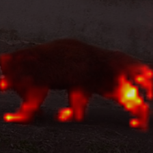440_8_attn.png