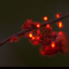 441_7_attn.png