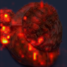 449_7_attn.png