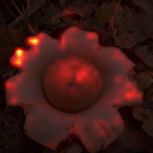 449_9_attn.png