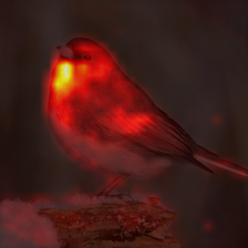 45_0_attn.png