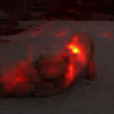 463_7_attn.png