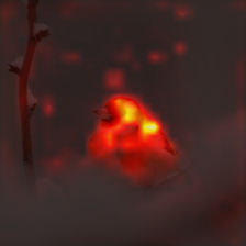 463_8_attn.png