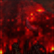 476_0_attn.png