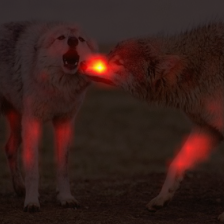 476_4_attn.png