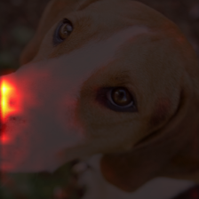 476_5_attn.png