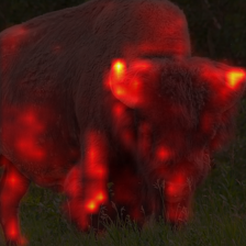 476_6_attn.png