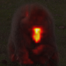 476_8_attn.png