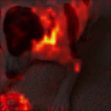 479_0_attn.png