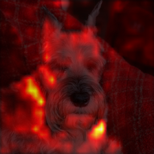 479_1_attn.png