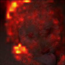 479_3_attn.png