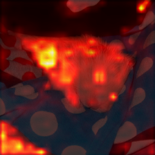 479_6_attn.png