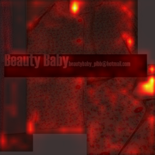 49_3_attn.png