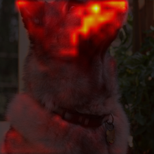 49_9_attn.png