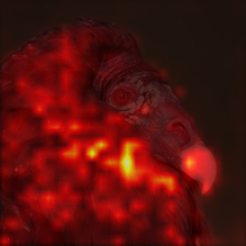 4_3_attn.png