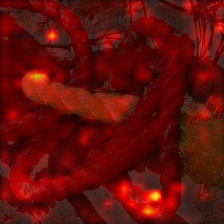 51_4_attn.png