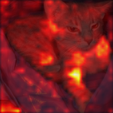 55_0_attn.png