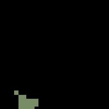 55_0_seg.png