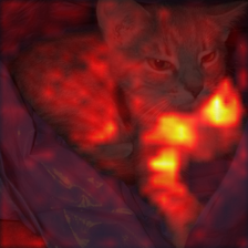 58_9_attn.png