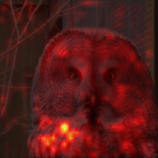 5_2_attn.png
