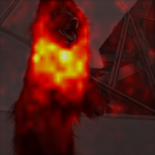 5_6_attn.png