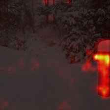 60_1_attn.png