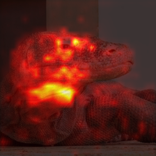 671_2_attn.png