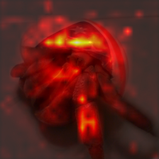 671_3_attn.png