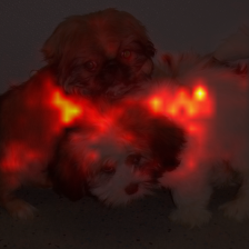 671_6_attn.png
