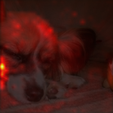 673_5_attn.png