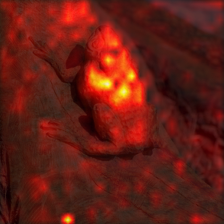 674_1_attn.png