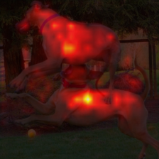 674_8_attn.png
