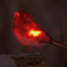 675_0_attn.png