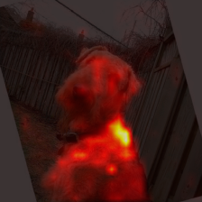 675_2_attn.png