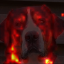 675_4_attn.png