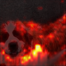 675_6_attn.png